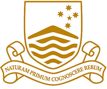 Work Logo